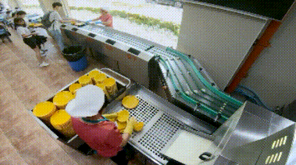2.gif