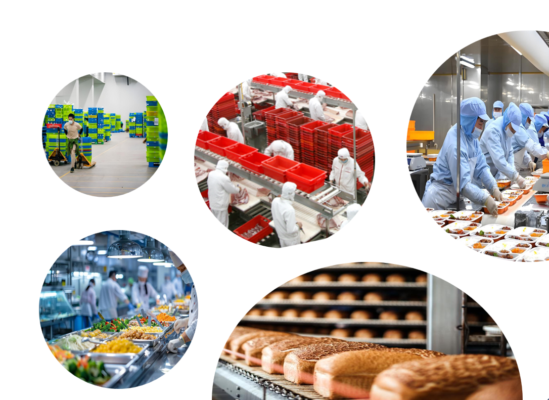 1771911038851223.png 7197d560bfc3a26c3ba7d633f36c7749.png